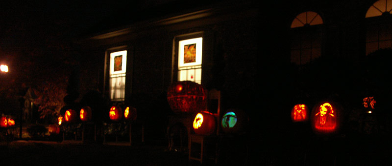 Pumpkin Carving: Display 2008 - 3